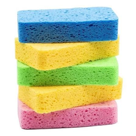 Sponges — photo 2